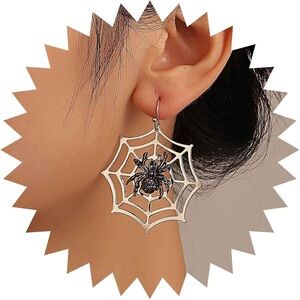 Spider Web Silver Earrings